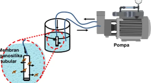 Gambar 2. 2 Ilustrasi proses backwashing membran organosilika sistem dead-end  3  HASIL DAN PEMBAHASAN 