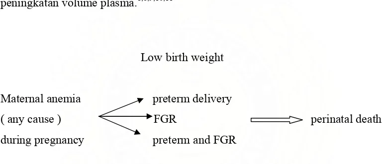Gambar 1. Hubungan antara kejadian anemia terhadap kehamilan dan janin. Dikutip dari pustaka 4