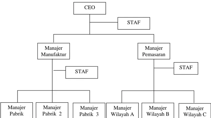 Gambar 2.3  Organisasi Fungsional  b.   Organisasi divisional 