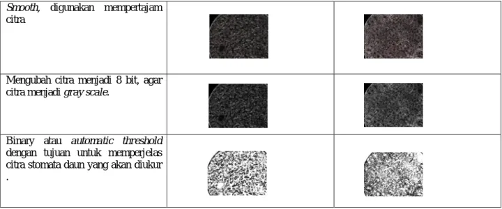 Table 2. Luas dan jumlah stomata daun 