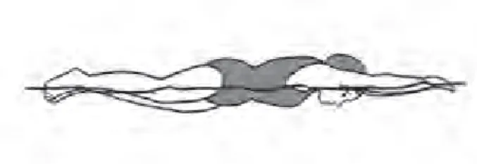 Gambar 2.1. Posisi badan renang gaya rimau (crawl)  (Dadeng Kurnia, 1998:45) 