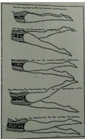 Gambar 2.2. Gerakan kaki renang gaya rimau (crawl)  (Dadeng Kurnia, 1998:45) 