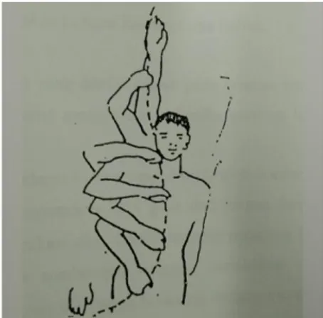 Gambar 2.3. Gerakan lengan dalam renang gaya rimau (crawl)  (Soemanto &amp; Soeradi, 1994:54) 