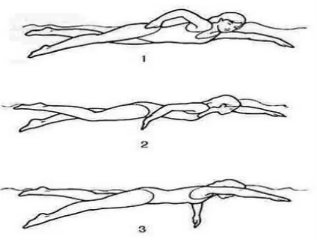 Gambar 2.4. Gerakan pengambilan napas renang gaya rimau (crawl)  (Dadeng Kurnia, 1998:45) 