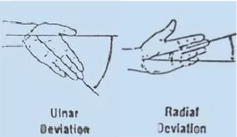 Gambar 2.5 Posisi Deviasi Ulnar (a) dan Posisi Deviasi Radial  (b)Pada Pergelangan Tangan (Sumber: Humantech, 1995) 