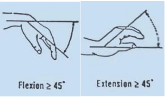 Gambar 2.6 Posisi Fleksi (a) dan Posisi Ekstensi (b)  Pada Pergelangan Tangan (Sumber: Humantech, 1995) 