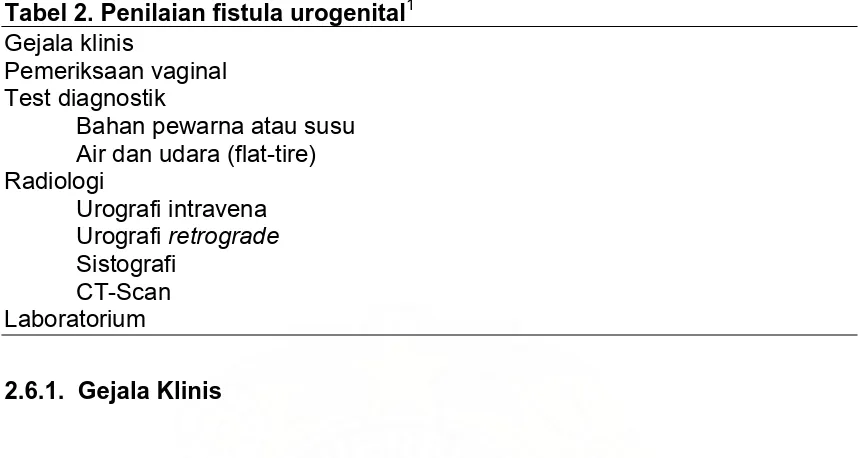 Gambar 4. Fistula Urethrovaginal 