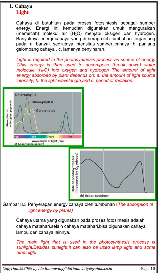 Gambar 8.3 Penyerapan energy cahaya oleh tumbuhan (The absorption of  light energy by plants)  