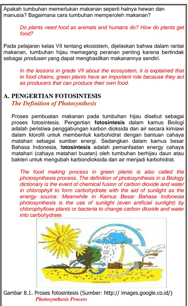 Gambar 8.1. Proses fotosintesis (Sumber: http:// images.google.co.id/)   Photosynthesis Process 
