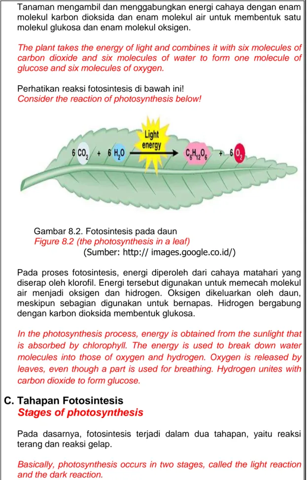 Gambar 8.2. Fotosintesis pada daun   Figure 8.2 (the photosynthesis in a leaf) 