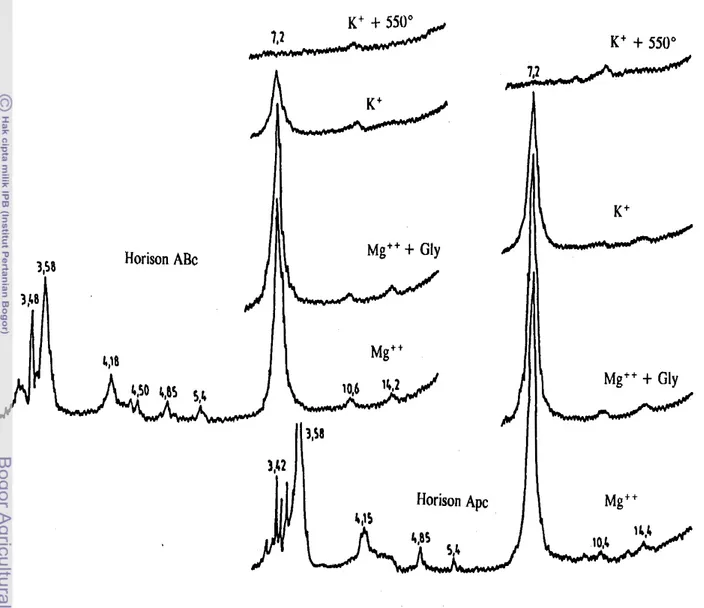 Gambar  12.  Kurva  Difraktogram  Sinar-X Pedon  PS-1  (Humic Hapludox) 