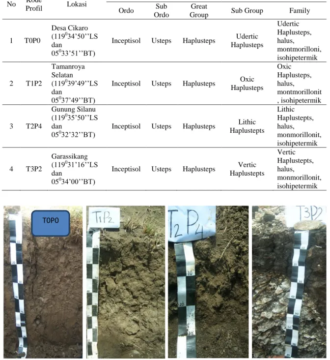 Tabel 1. Klasifikasi Tanah Inceptisol pada Beberapa Sistem Lahan di Kabupaten Jeneponto 