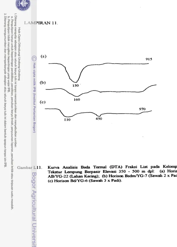 Gambar  L l l .   Kurva  Analisis  Beda  T e d   @TA)  Fraksi  Liat  pa&amp;  Kelompok  Tekstur  Lempung  Berpasir  Elevasi  350  -  500  m  dpl:  (a)  Horiscm  AB/YG-22 (Lahan  Kering);  (b)  Horison Bsdm/YG-7 ( S a d  2 x  Padi); 