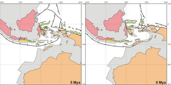 Gambar 11. Rekonstruksi  5  –  0  jtl  (Pliosen  –  Resen)  ketika  pemunduran  subduksi  (roll-back)  palung  Jawa  semakin  menggeser Sumba ke arah tenggara dan menghasilkan peregangan di Laut Banda Selatan yang menerus ke arah  barat  hingga di  utara  