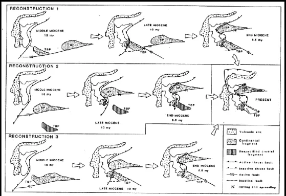 Gambar 2. 3 Rekonstruksi dinamika mintakat Tukangbesi dan Sula (Smith, 1983). 