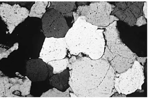 Gambar 2.12 Fotomicrograf pada sandstone Mikroskop petrografi 