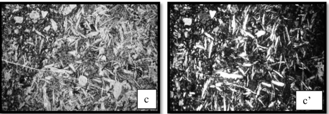Gambar 4b.Lanjutan. Sayatan tipis batuan dibawah mikroskop basalt bertekstur                      porfiritik (c-c’)  