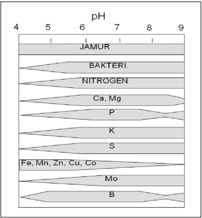 Gambar 1 Nilai ketersediaan unsur pada kisaran pH 4-9 