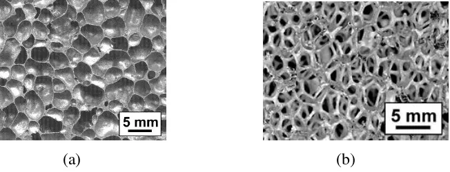 Gambar 0.1 : Jenis jenis logam berpori : (a) closed-cell foam; (b) open-cell foam(http://www.metalfoam.net/intro.html) 