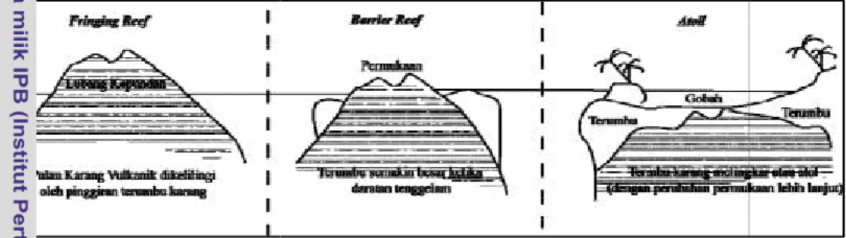 Gambar 5  Evolusi geologis atol k (Nybakken 1992 2.2  Makroalga 