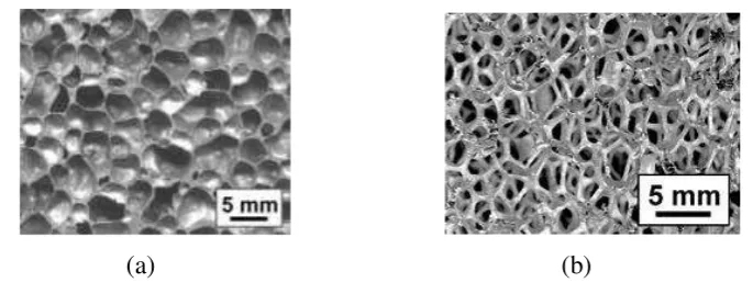 Gambar 0.1 : Jenis jenis logam berpori : (a) closed-cell foam; (b) open-cell foam(http://www.metalfoam.net/intro.html) 