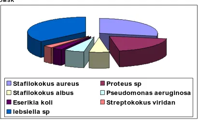 Tabel 4 .2 . Distribusi Jenis Bakteri Aerob Yang Dapat Diisolasi Dari Sekret OMSK 