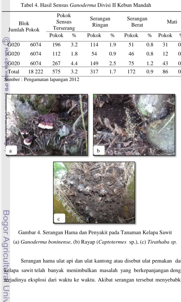 Tabel 4. Hasil Sensus Ganoderma Divisi II Kebun Mandah  Blok  Jumlah Pokok  Pokok  Sensus  Terserang  Serangan Ringan  Serangan Berat  Mati 