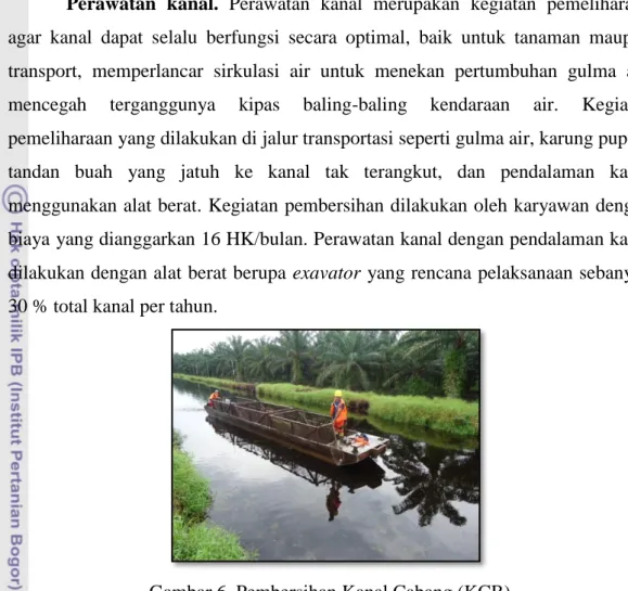 Gambar 6. Pembersihan Kanal Cabang (KCB) 