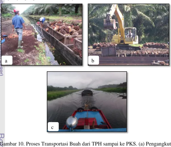 Gambar 10. Proses Transportasi Buah dari TPH sampai ke PKS. (a) Pengangkutan  TBS menggunakan bargas, (b) Proses bongkar muat, (c) Pengangkutan TBS 