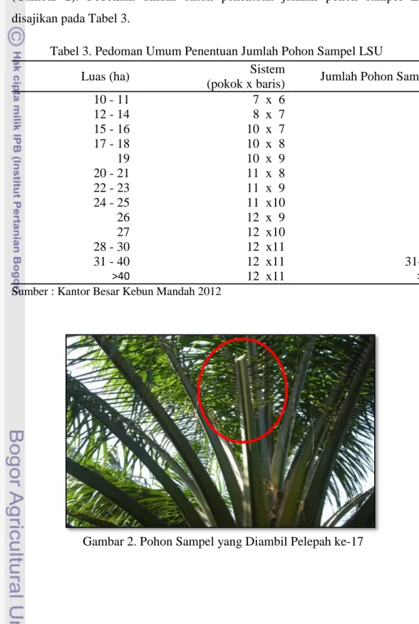 Tabel 3. Pedoman Umum Penentuan Jumlah Pohon Sampel LSU  Luas (ha)                    Sistem 