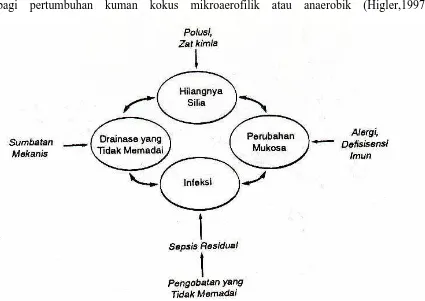 Gambar 2.1 : Siklus dari peristiwa yang berulang pada sinusitis kronis ( Higler, 1997) 