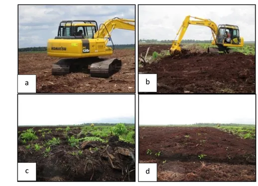 Gambar 7 Compacting (a), cambering (b),  