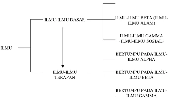 Gambar 2. Ragam Cabang Ilmu (Sumber: Bernard Arief Sidharta, 2000: 114) 