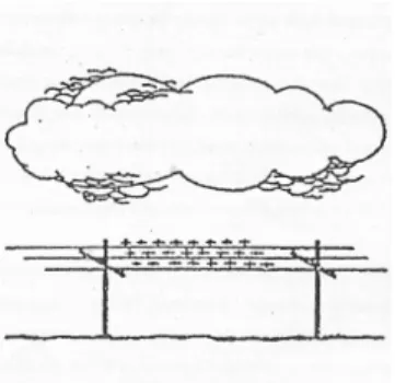 Gambar 2.1. Muatan Sepanjang pinggir awan  menginduksikan muatan lawan pada bumi 