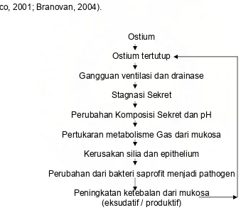 Gambar 2.5. Skema siklus Perkembangan Sinusitis Kronis (Jhosephon,1999) 