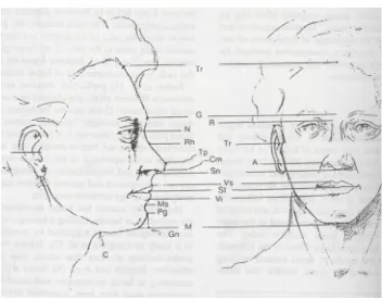 Gambar 2.1. Titik-titik antropometri pada wajah (Wall, 1998)  