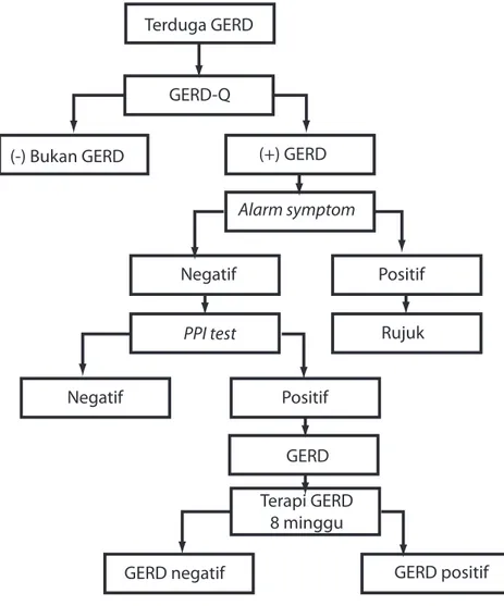 Gambar 2. Alur Pengobatan Berdasarkan Proses Diagnostik Pada  Pelayanan Primer.