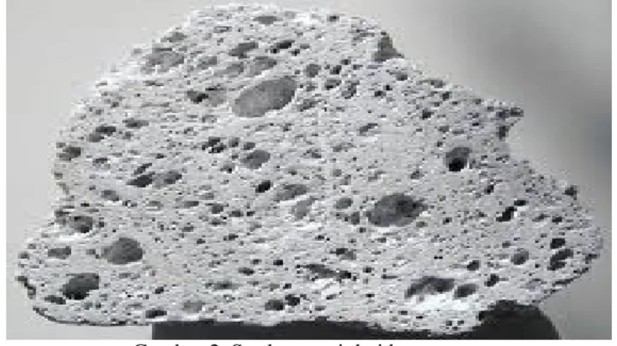 Gambar 2. Struktur pori dari batu apung 