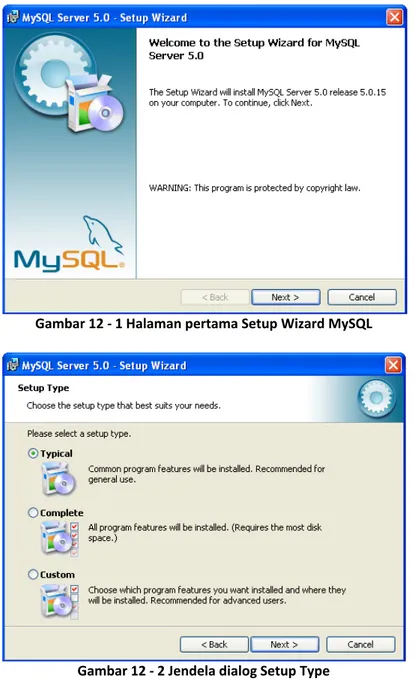 Gambar 12 ‐ 2 Jendela dialog Setup Type Selanjutnya akan ditampilkan 