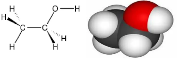 Gambar 1. Struktur dan Bentuk Molekul Etanol (Ben, 2006) 
