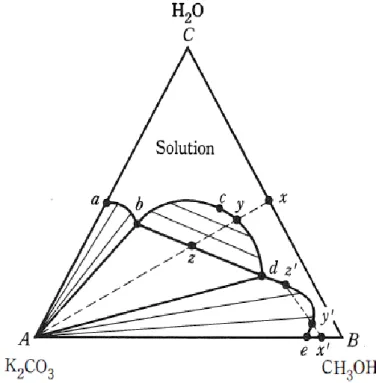 Gambar 11. Sistem CH 3 OH, K 2 CO 3 , dan air pada 30 o C   (Castellan, 1983; Triyono, 2006)
