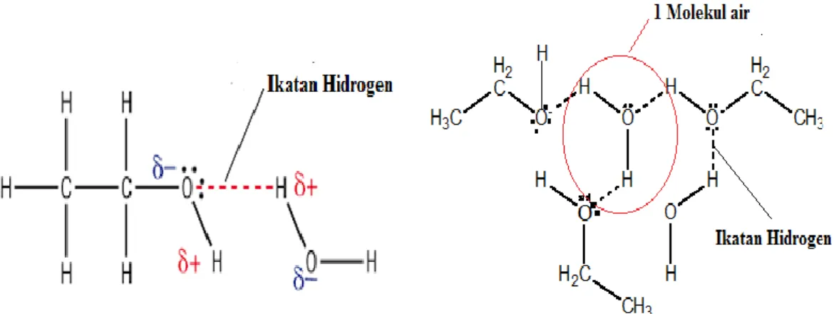 Gambar 9. Ikatan hidrogen antara molekul air dan etanol (Ben, 2009). 