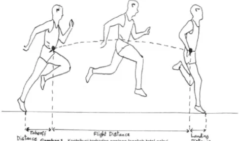 Gambar 1.  Kontribusi terhadap panjang langkah total pelari 
