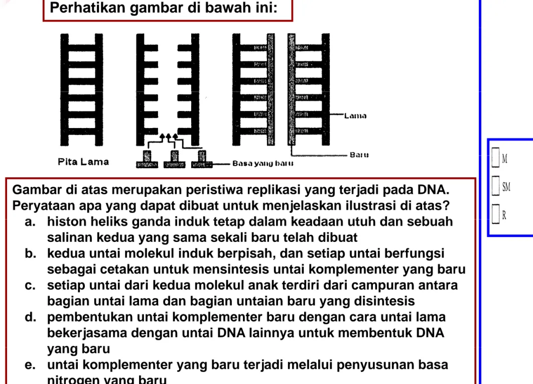 Gambar di atas merupakan peristiwa replikasi yang terjadi pada DNA. 