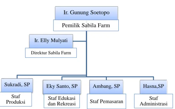 Gambar 3. Struktur Organisasi UD. Sabila Farm 