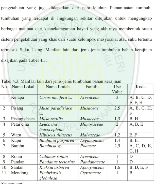 Tabel 4.3. Manfaat lain dari jenis-jenis tumbuhan bahan kerajinan  No  Nama Lokal  Nama Ilmiah  Familia  Use 