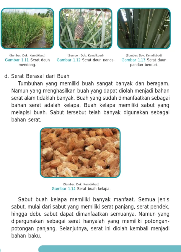 Gambar  1.11  Serat  daun  mendong.