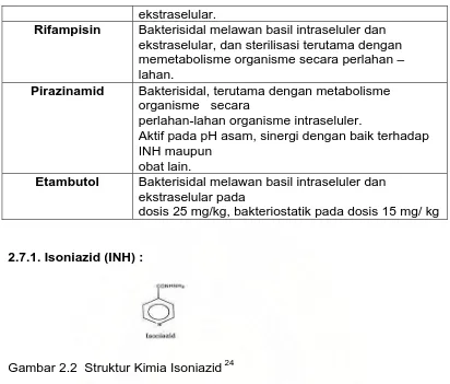Gambar 2.2  Struktur Kimia Isoniazid 24