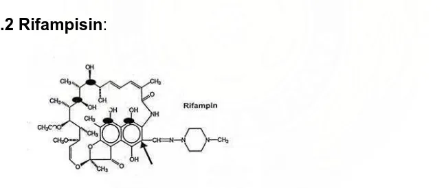 Gambar 2.3. Struktur Kimia Rifampin 21 