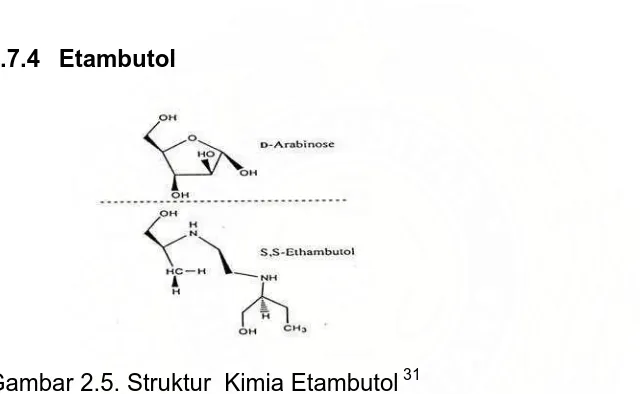 Gambar 2.5. Struktur  Kimia Etambutol 31 
